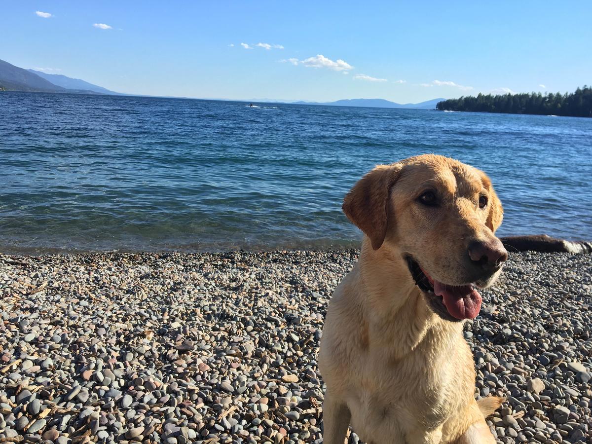 Flathead Lake Resort Woods Bay Kültér fotó